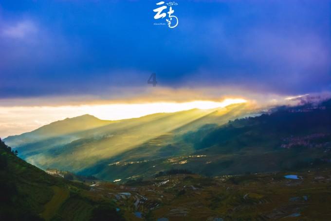 姓朱能养富贵竹吗？游戏画面